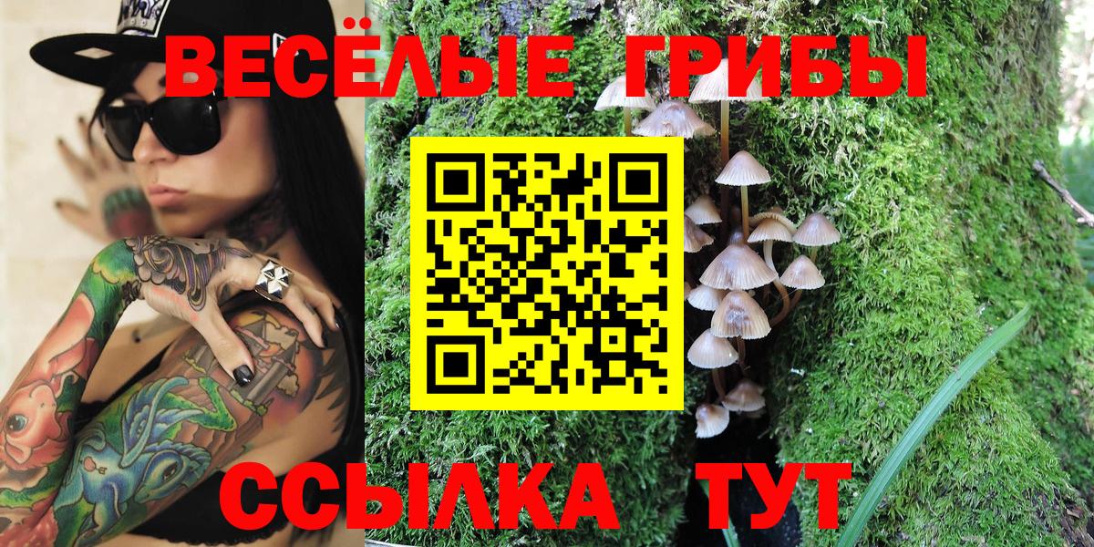 Галлюциногенные грибы GOLDEN TEACHER Губкин